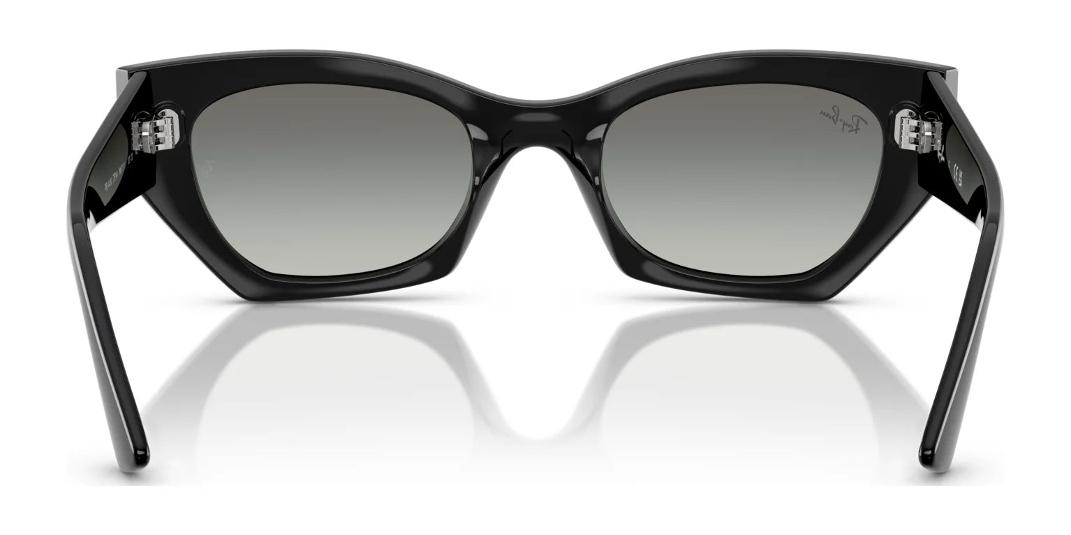 Ray-Ban ZENA RB4430 Sunglasses