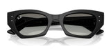 Ray-Ban ZENA RB4430 Sunglasses
