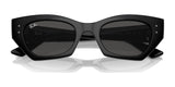 Ray-Ban ZENA RB4430 Sunglasses