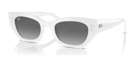 Ray-Ban ZENA RB4430 Sunglasses