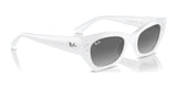 Ray-Ban ZENA RB4430 Sunglasses