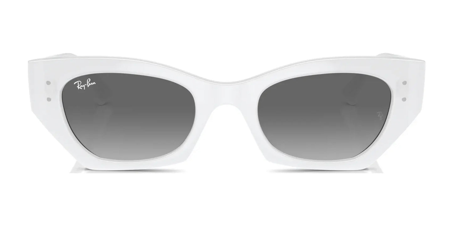 Ray-Ban ZENA RB4430 Sunglasses