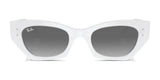 Ray-Ban ZENA RB4430 Sunglasses