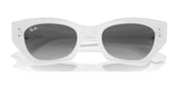 Ray-Ban ZENA RB4430 Sunglasses