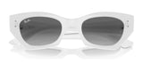 Ray-Ban ZENA RB4430F Sunglasses | Size 52