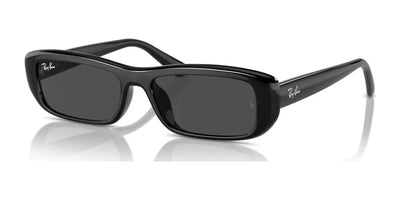 Ray-Ban RB4436D Sunglasses Black / Dark Grey