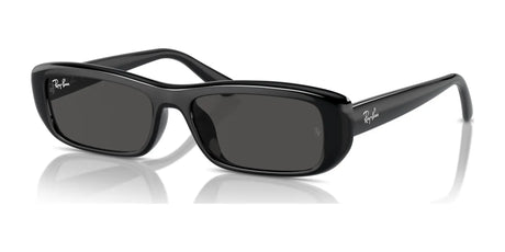 Ray-Ban RB4436D Sunglasses Black / Dark Grey