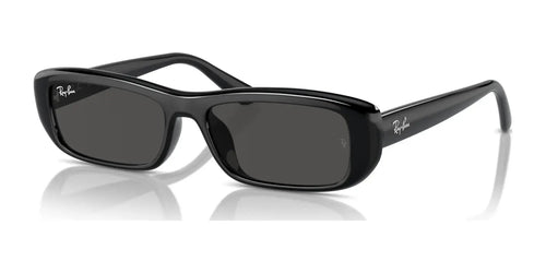 Ray-Ban RB4436D Sunglasses / Size 55 / Black №667787 / Dark Grey (3N 10.1%)