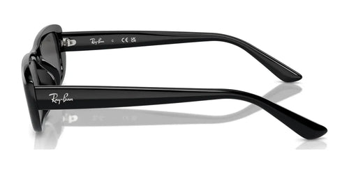 Ray-Ban RB4436D Sunglasses / Size 55 / Black №667787 / Dark Grey (3N 10.1%)