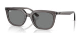 Ray-Ban RB4439D Sunglasses | Size 54