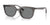 Ray-Ban RB4439D Sunglasses | Size 54 / Transparent Grey №667587