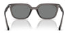 Ray-Ban RB4439D Sunglasses | Size 54 / Black №901/87 / Dark Grey (3N 10.1%)
