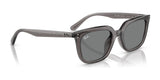 Ray-Ban RB4439D Sunglasses | Size 54