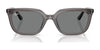 Ray-Ban RB4439D Sunglasses | Size 54 / Black №901/87 / Dark Grey (3N 10.1%)