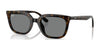 Ray-Ban RB4439D Sunglasses | Size 54 / Havana №710/87 / Dark Grey (2N 19%)