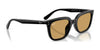 Ray-Ban RB4439D Sunglasses | Size 54 / Black №901/87 / Dark Grey (3N 10.1%)