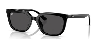 Ray-Ban RB4439D Sunglasses Black / Dark Grey