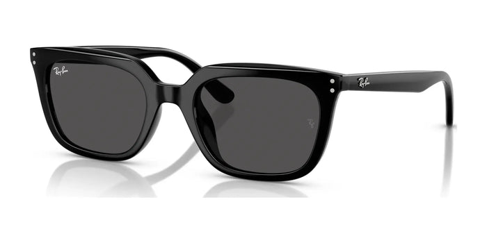 Ray-Ban RB4439D Sunglasses | Size 54 / Black №901/87 / Dark Grey (3N 10.1%)