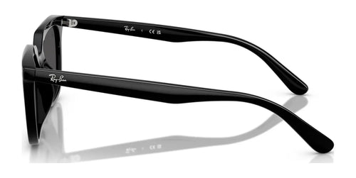 Ray-Ban RB4439D Sunglasses / Size 54 / Black №901/87 / Dark Grey (3N 10.1%)