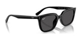 Ray-Ban RB4439D Sunglasses | Size 54