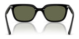 Ray-Ban RB4439D Sunglasses | Size 54