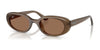 Ray-Ban RB4441D Sunglasses | Size 53 / Opal Brown №677973 / Dark Brown (3N 13.3%)