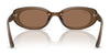 Ray-Ban RB4441D Sunglasses | Size 53 / Black №667771 / Dark Green (3N 14.3%)