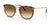 Ray-Ban RB4451 Sunglasses / Transparent Orange №680451