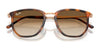 Ray-Ban RB4451 Sunglasses / Black №601/B1 / Dark Grey (3N 15.30%) / Size 50
