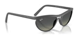 Ray-Ban RB4453 Sunglasses | Size 59