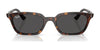 Ray-Ban ZAYA RB4456 Sunglasses / Cloudy Natural Pink №681182 / Dark Green (2N 19.6%) / Size 50