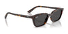 Ray-Ban ZAYA RB4456F Sunglasses | Size 52 / Havana №135987 / Dark Grey (3N 10.1%)