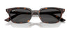 Ray-Ban ZAYA RB4456F Sunglasses | Size 52 / Havana №135987 / Dark Grey (3N 10.1%)