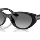 Black №667711