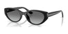 Ray-Ban RB4457D Sunglasses | Size 55 / Black №667711 / Grey Gradient (2N 29.2%)