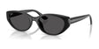 Ray-Ban RB4457D Sunglasses Black / Dark Grey
