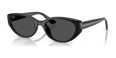 Ray-Ban RB4457D Sunglasses Black / Dark Grey