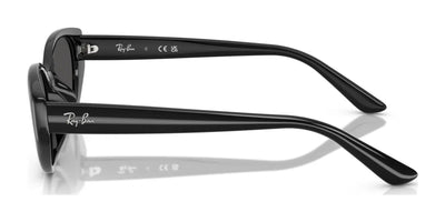 Ray-Ban RB4457D Sunglasses | Size 55
