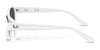 Ray-Ban RB4457D Sunglasses | Size 55 / Opal Beige №678673 / Dark Brown (3N 13.3%)
