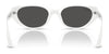 Ray-Ban RB4457D Sunglasses | Size 55 / Opal Beige №678673 / Dark Brown (3N 13.3%)