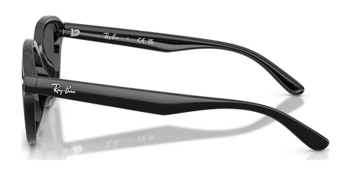 Ray-Ban RB4458D Sunglasses / Size 65 / Black №601/87 / Dark Grey (3N 9.3%)