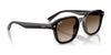 Ray-Ban RB4458D Sunglasses | Size 65 / Black №601/87 / Dark Grey (3N 9.3%)