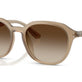Turtledove №616613