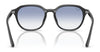 Ray-Ban RB4459D Sunglasses | Size 54 / Black №901/87 / Dark Grey (3N 9.9%)