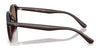 Ray-Ban RB4459D Sunglasses | Size 54 / Black №901/87 / Dark Grey (3N 9.9%)