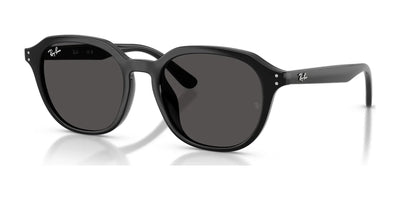Ray-Ban RB4459D Sunglasses Black / Dark Grey