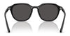 Ray-Ban RB4459D Sunglasses | Size 54 / Black №901/87 / Dark Grey (3N 9.9%)