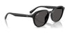 Ray-Ban RB4459D Sunglasses | Size 54 / Black №901/87 / Dark Grey (3N 9.9%)