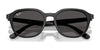 Ray-Ban RB4459D Sunglasses | Size 54 / Black №901/87 / Dark Grey (3N 9.9%)