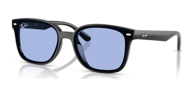 Ray-Ban RB4461D Sunglasses Black / Blue